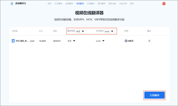 开始视频翻译