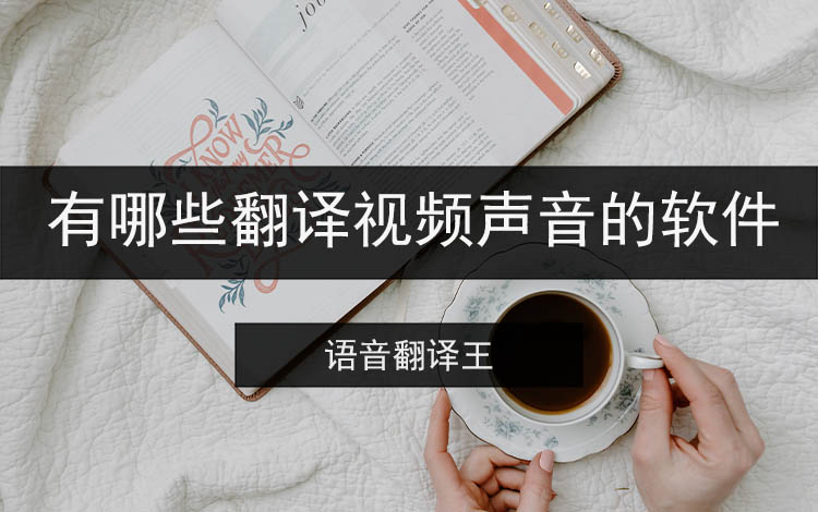 有哪些翻译视频声音的软件